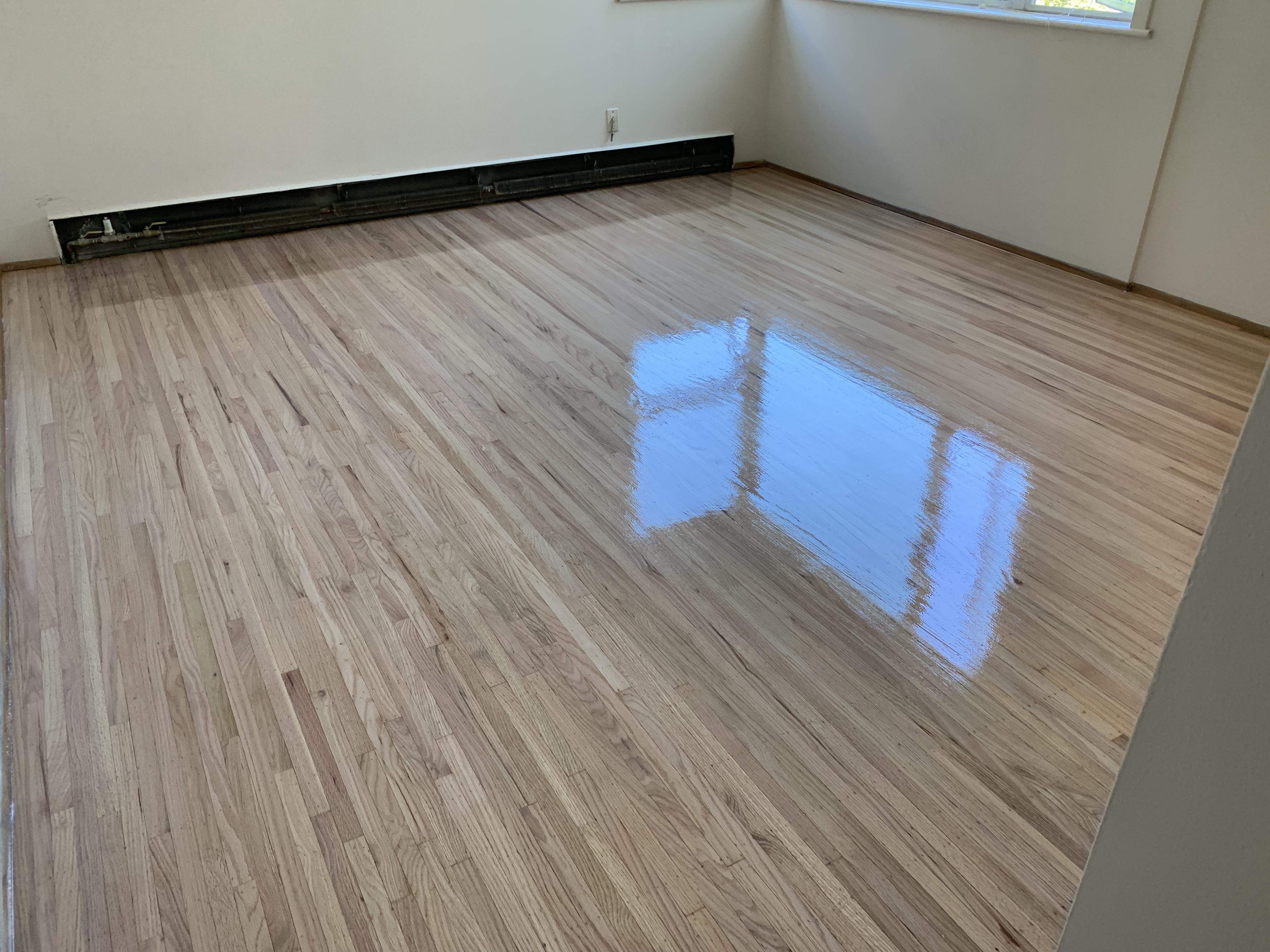 Hard Floor Refinishing